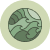 Swell Capital